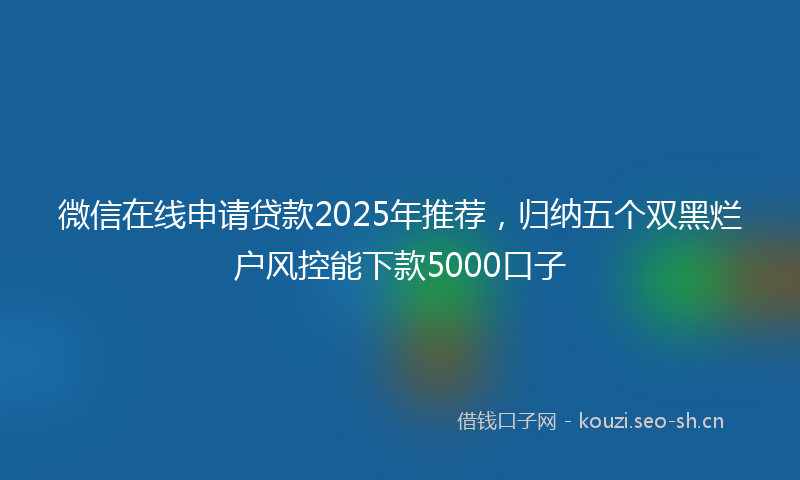 微信在线申请贷款2025年推荐，归纳五个双黑烂户风控能下款5000口子