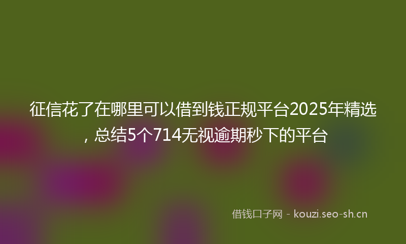 征信花了在哪里可以借到钱正规平台2025年精选，总结5个714无视逾期秒下的平台