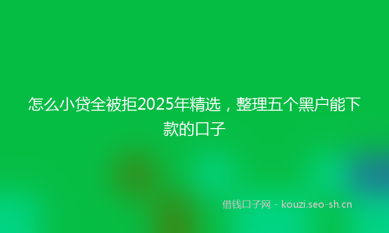 怎么小贷全被拒2025年精选，整理五个黑户能下款的口子