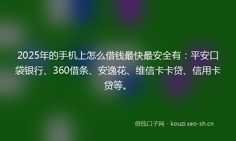 2025年的手机上怎么借钱最快最安全有：平安口袋银行、360借条、安逸花、维信卡卡贷、信用卡贷等。