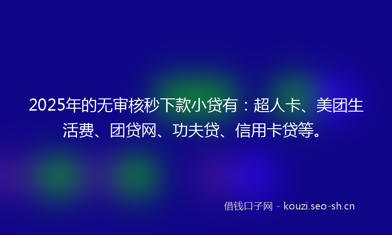 2025年的无审核秒下款小贷有：超人卡、美团生活费、团贷网、功夫贷、信用卡贷等。