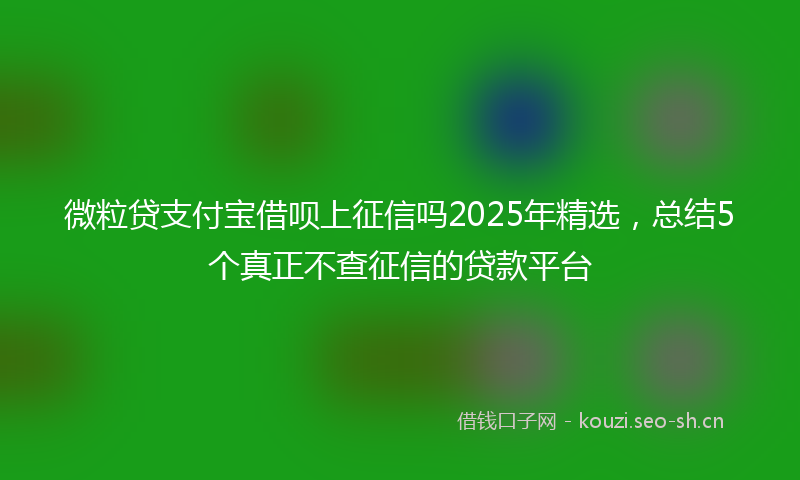 微粒贷支付宝借呗上征信吗2025年精选，总结5个真正不查征信的贷款平台