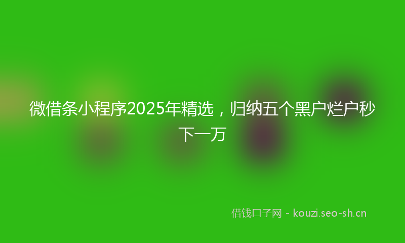 微借条小程序2025年精选，归纳五个黑户烂户秒下一万