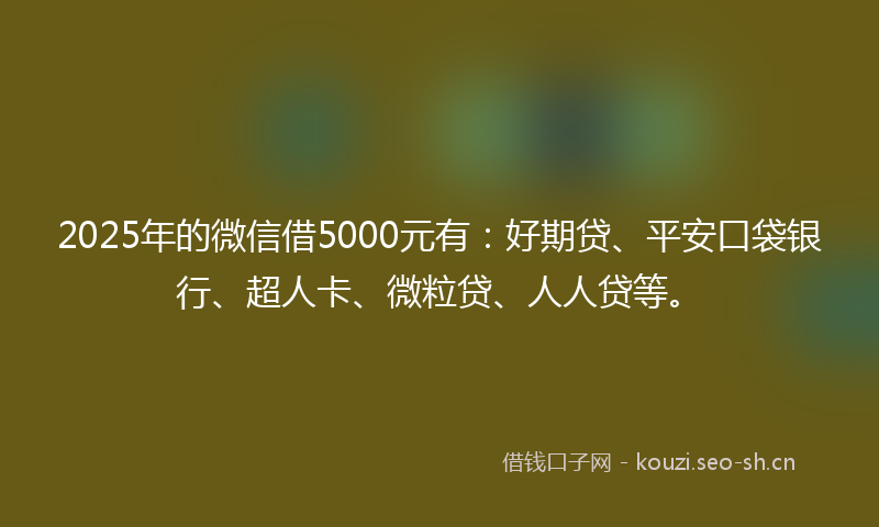 2025年的微信借5000元有：好期贷、平安口袋银行、超人卡、微粒贷、人人贷等。
