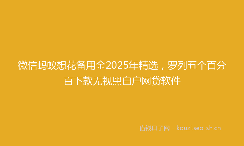 微信蚂蚁想花备用金2025年精选，罗列五个百分百下款无视黑白户网贷软件