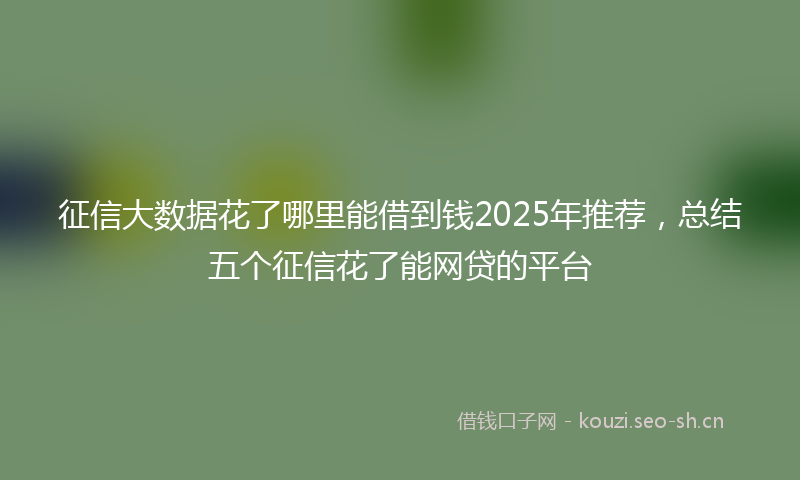征信大数据花了哪里能借到钱2025年推荐，总结五个征信花了能网贷的平台