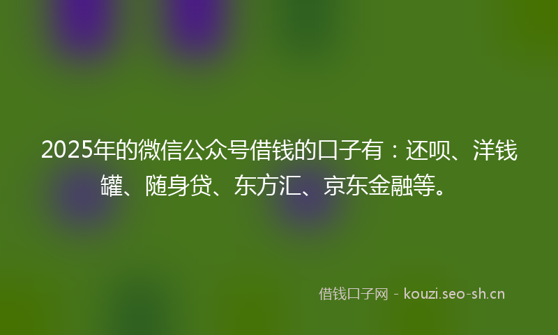 2025年的微信公众号借钱的口子有：还呗、洋钱罐、随身贷、东方汇、京东金融等。