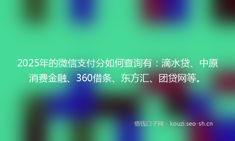 2025年的微信支付分如何查询有：滴水贷、中原消费金融、360借条、东方汇、团贷网等。
