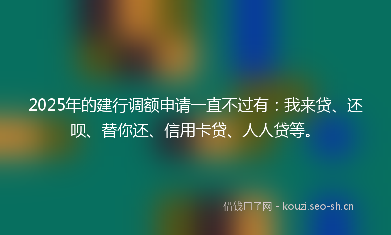 2025年的建行调额申请一直不过有：我来贷、还呗、替你还、信用卡贷、人人贷等。
