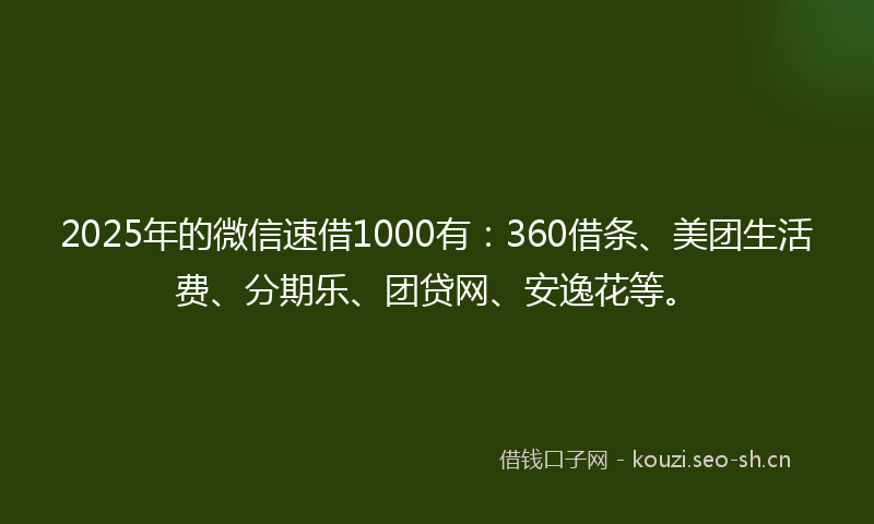 2025年的微信速借1000有：360借条、美团生活费、分期乐、团贷网、安逸花等。
