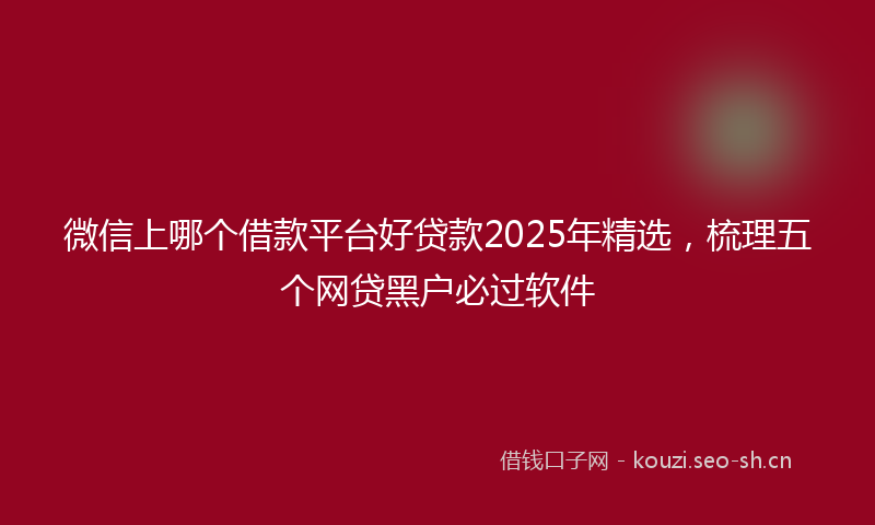 微信上哪个借款平台好贷款2025年精选，梳理五个网贷黑户必过软件