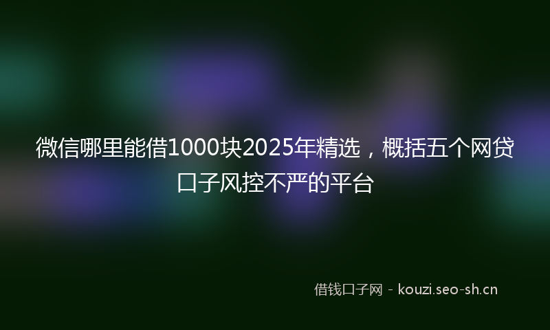 微信哪里能借1000块2025年精选，概括五个网贷口子风控不严的平台