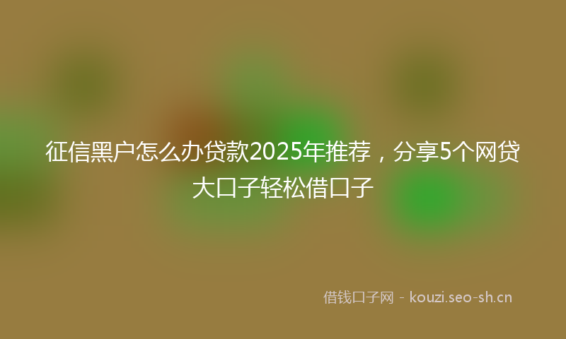 征信黑户怎么办贷款2025年推荐，分享5个网贷大口子轻松借口子
