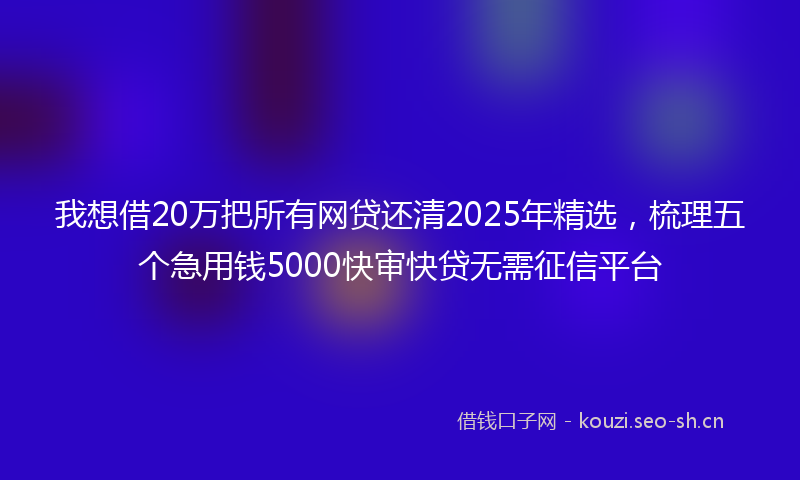 我想借20万把所有网贷还清2025年精选,梳理五个急用钱5000快审快贷无需征信平台