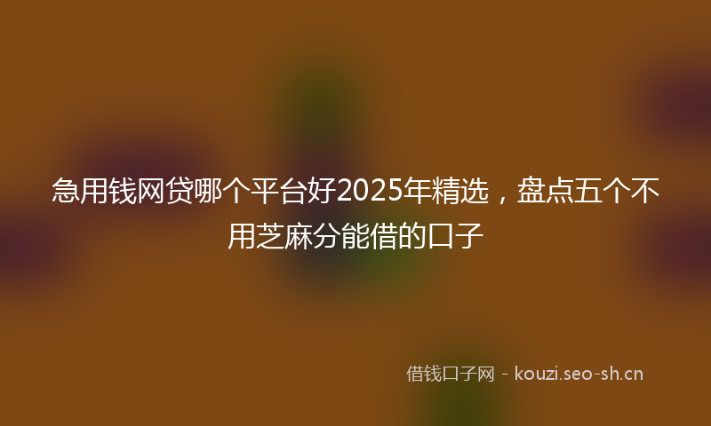 急用钱网贷哪个平台好2025年精选，盘点五个不用芝麻分能借的口子