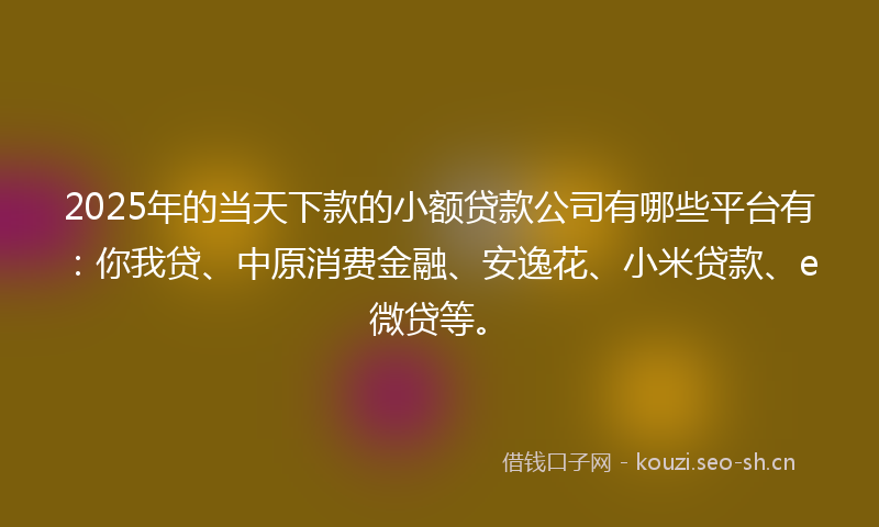 2025年的当天下款的小额贷款公司有哪些平台有：你我贷、中原消费金融、安逸花、小米贷款、e微贷等。