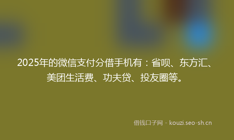 2025年的微信支付分借手机有：省呗、东方汇、美团生活费、功夫贷、投友圈等。