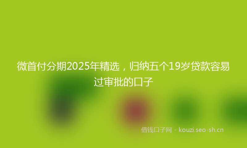 微首付分期2025年精选，归纳五个19岁贷款容易过审批的口子