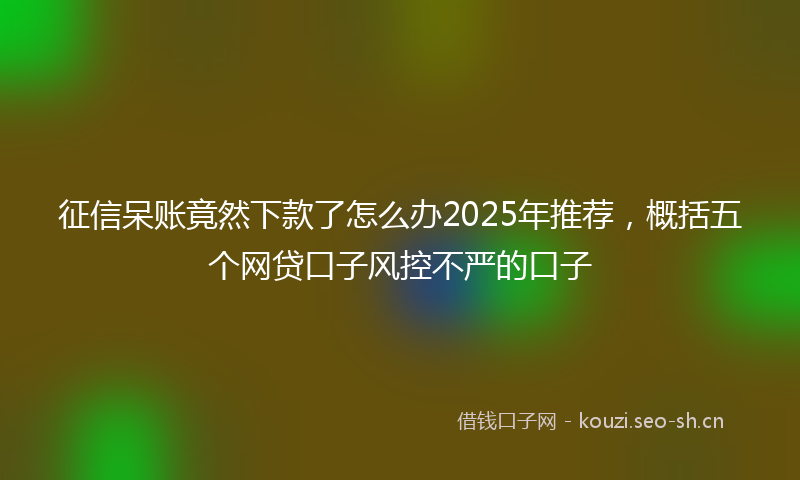 征信呆账竟然下款了怎么办2025年推荐，概括五个网贷口子风控不严的口子