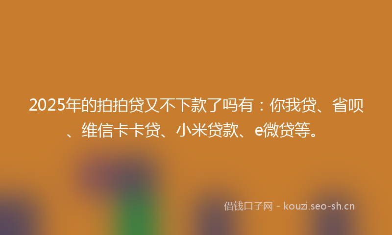 2025年的拍拍贷又不下款了吗有：你我贷、省呗、维信卡卡贷、小米贷款、e微贷等。