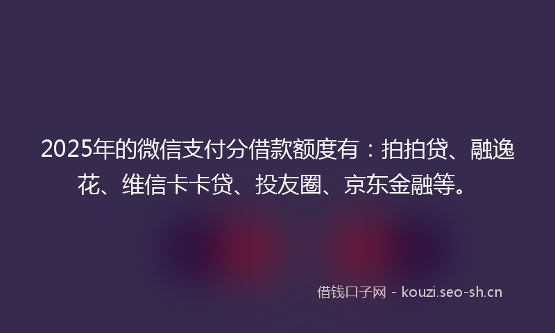 2025年的微信支付分借款额度有：拍拍贷、融逸花、维信卡卡贷、投友圈、京东金融等。
