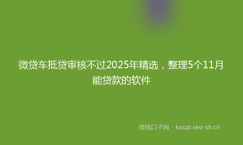 微贷车抵贷审核不过2025年精选，整理5个11月能贷款的软件