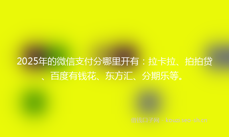 2025年的微信支付分哪里开有：拉卡拉、拍拍贷、百度有钱花、东方汇、分期乐等。