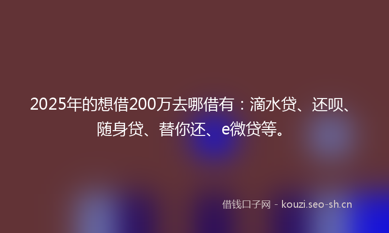 2025年的想借200万去哪借有：滴水贷、还呗、随身贷、替你还、e微贷等。