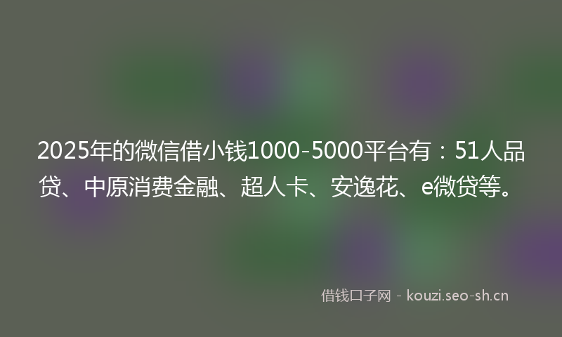 2025年的微信借小钱1000-5000平台有：51人品贷、中原消费金融、超人卡、安逸花、e微贷等。