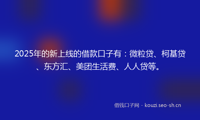 2025年的新上线的借款口子有：微粒贷、柯基贷、东方汇、美团生活费、人人贷等。