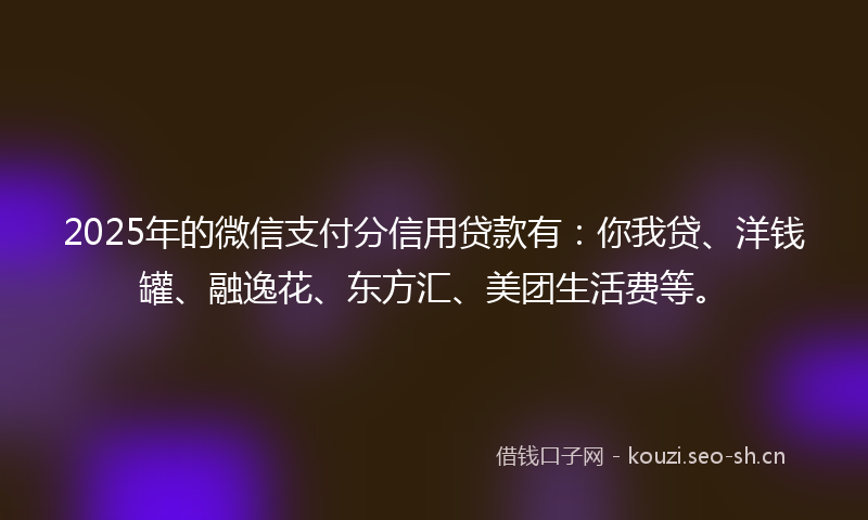 2025年的微信支付分信用贷款有：你我贷、洋钱罐、融逸花、东方汇、美团生活费等。