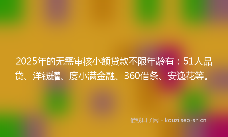 2025年的无需审核小额贷款不限年龄有：51人品贷、洋钱罐、度小满金融、360借条、安逸花等。