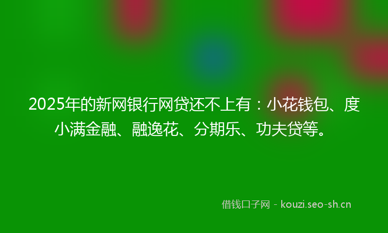 2025年的新网银行网贷还不上有：小花钱包、度小满金融、融逸花、分期乐、功夫贷等。