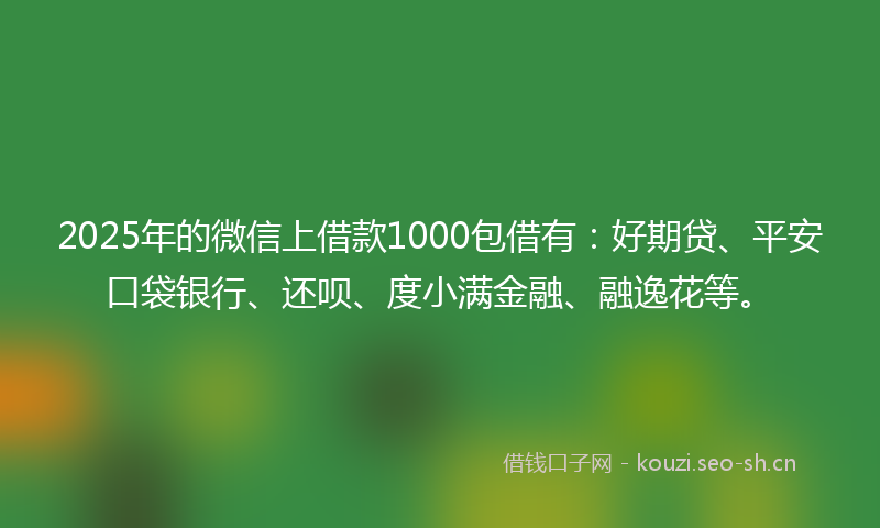 2025年的微信上借款1000包借有：好期贷、平安口袋银行、还呗、度小满金融、融逸花等。