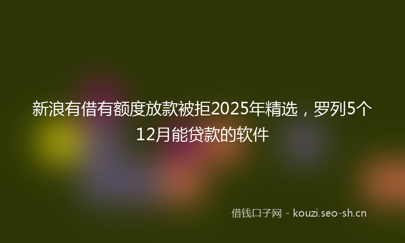 新浪有借有额度放款被拒2025年精选，罗列5个12月能贷款的软件