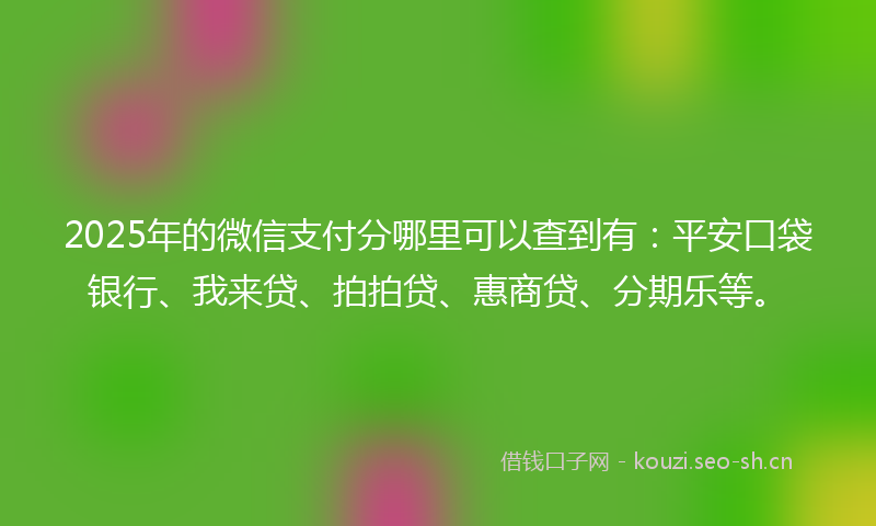 2025年的微信支付分哪里可以查到有:平安口袋银行、我来贷、拍拍贷、惠商贷、分期乐等。