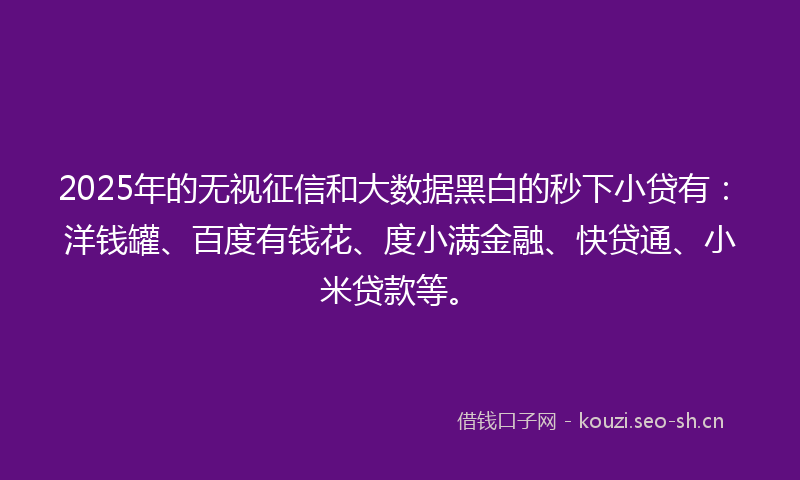 2025年的无视征信和大数据黑白的秒下小贷有：洋钱罐、百度有钱花、度小满金融、快贷通、小米贷款等。