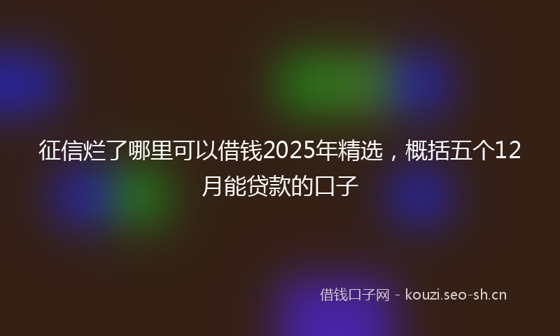 征信烂了哪里可以借钱2025年精选，概括五个12月能贷款的口子