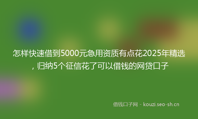 怎样快速借到5000元急用资质有点花2025年精选，归纳5个征信花了可以借钱的网贷口子