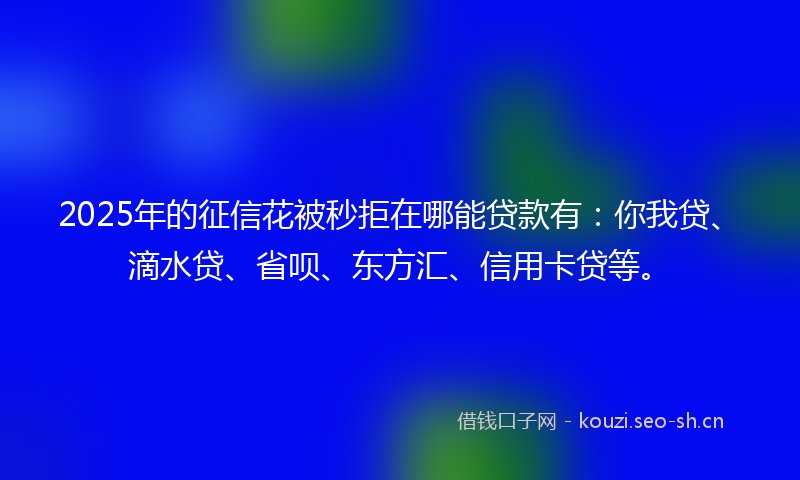 2025年的征信花被秒拒在哪能贷款有：你我贷、滴水贷、省呗、东方汇、信用卡贷等。