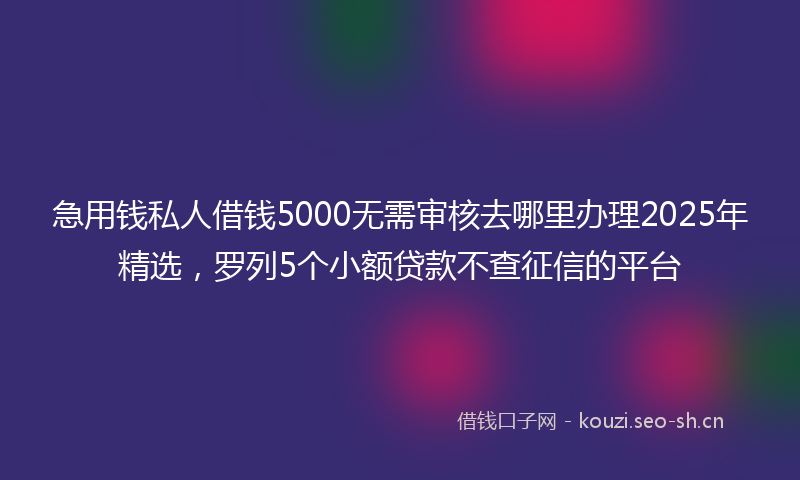 急用钱私人借钱5000无需审核去哪里办理2025年精选，罗列5个小额贷款不查征信的平台