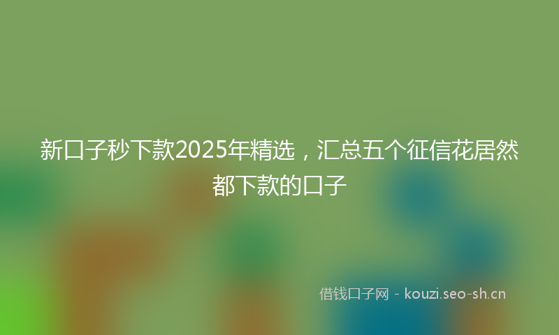 新口子秒下款2025年精选,汇总五个征信花居然都下款的口子