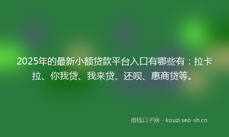 2025年的最新小额贷款平台入口有哪些有：拉卡拉、你我贷、我来贷、还呗、惠商贷等。