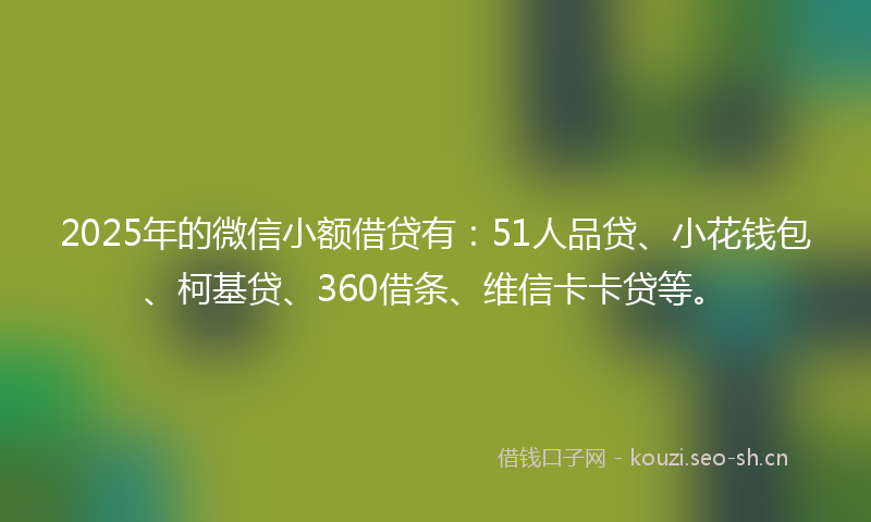 2025年的微信小额借贷有：51人品贷、小花钱包、柯基贷、360借条、维信卡卡贷等。