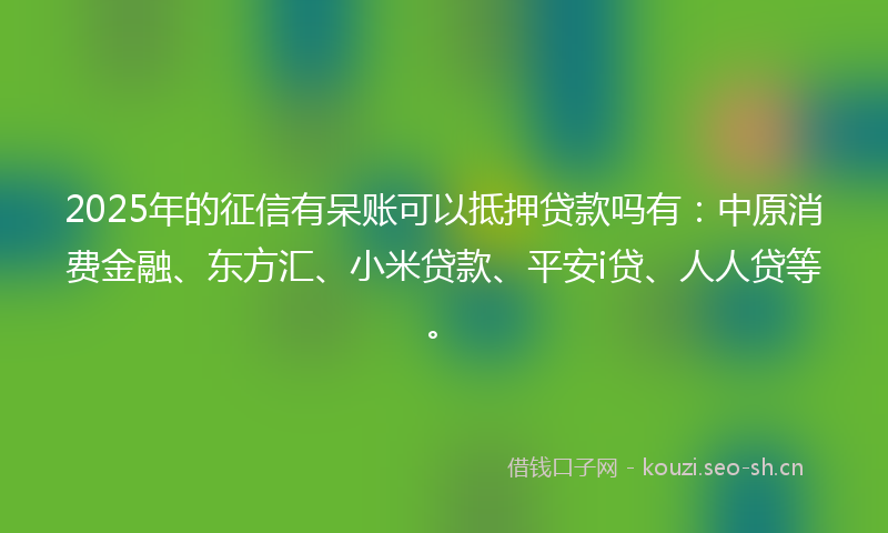 2025年的征信有呆账可以抵押贷款吗有：中原消费金融、东方汇、小米贷款、平安i贷、人人贷等。