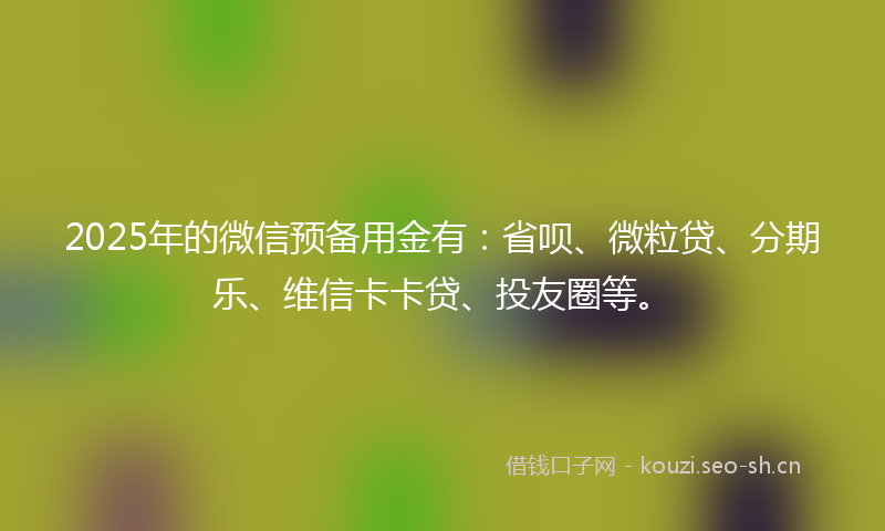 2025年的微信预备用金有：省呗、微粒贷、分期乐、维信卡卡贷、投友圈等。