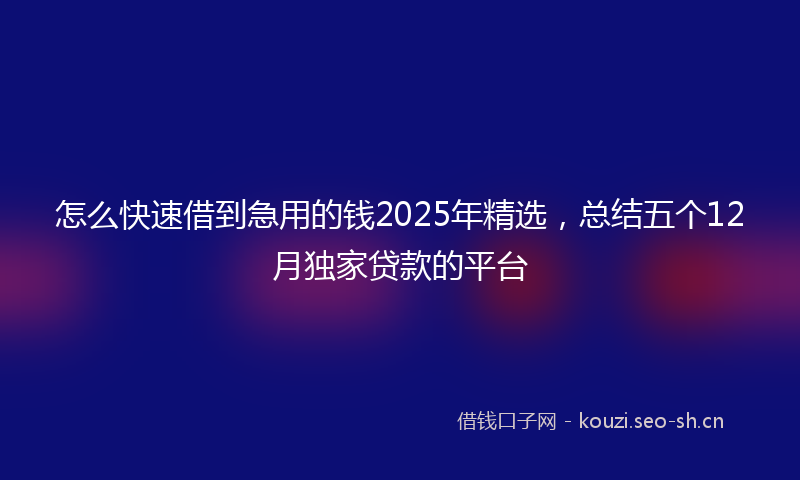 怎么快速借到急用的钱2025年精选，总结五个12月独家贷款的平台