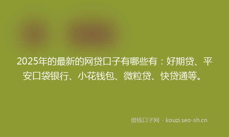 2025年的最新的网贷口子有哪些有：好期贷、平安口袋银行、小花钱包、微粒贷、快贷通等。