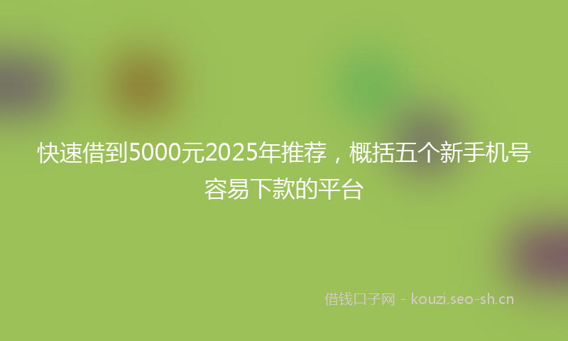 快速借到5000元2025年推荐，概括五个新手机号容易下款的平台