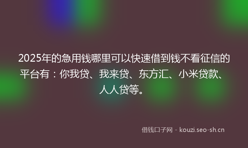 2025年的急用钱哪里可以快速借到钱不看征信的平台有：你我贷、我来贷、东方汇、小米贷款、人人贷等。